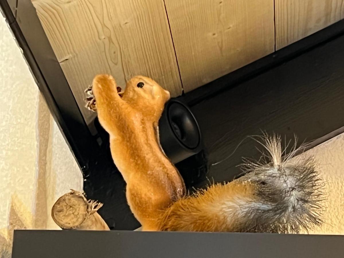 Chalet De L Ours Bolquere Luaran gambar